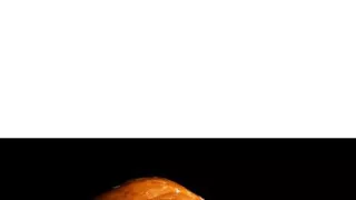 Nejpodivnější živočichové oceánů (3)