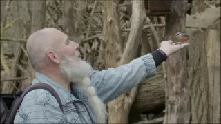 Hľadám Dunaj