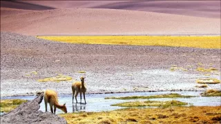 Život v extrémních podmínkách (3/3)