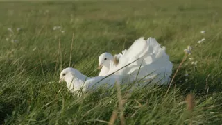 Jak to lítá na letišti