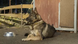 Jak to lítá na letišti