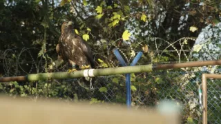 Jak to lítá na letišti