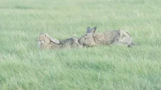 Jak to lítá na letišti