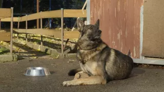 Jak to lítá na letišti