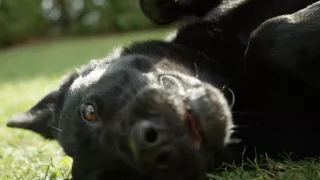 Jak to lítá na letišti