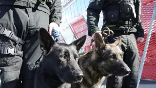 Jak to lítá na letišti