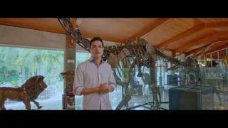 Vydražte si svého dinosaura