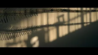 Vydražte si svého dinosaura