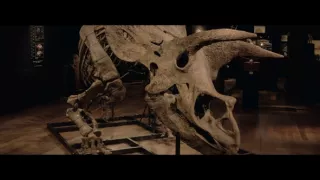 Vydražte si svého dinosaura