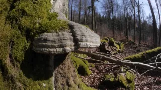 Divoká príroda Bavorska (2/2)