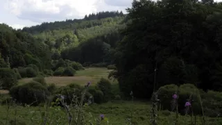 Divoká príroda Bavorska (2/2)