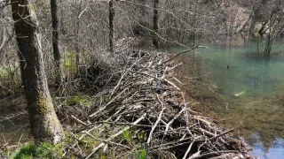 Divoká príroda Bavorska (2/2)