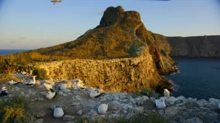 Zázračná planéta: Posledné raje na Zemi - Galapágy