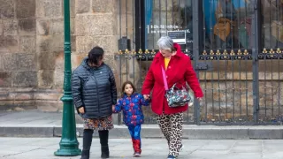 Plné hniezdo v Prahe 2