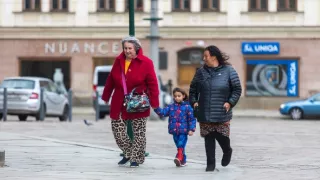 Plné hniezdo v Prahe 2