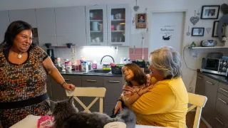 Plné hniezdo v Prahe 2