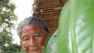 Šamani odchádzajú