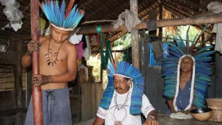 Šamani odchádzajú