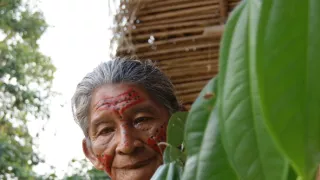 Šamani odchádzajú