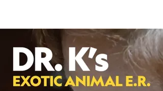 Pohotovosť pre exotické zvieratá IV (8)