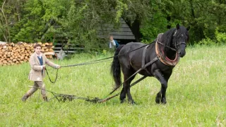 Princezna a půl království