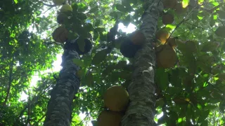 Na ceste po Riu de Janeiro