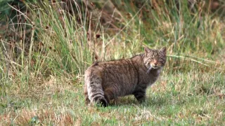 Příroda Kantaberských hor (2/2)