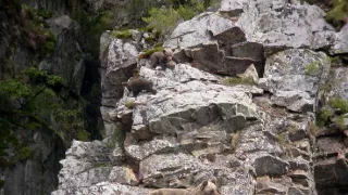 Příroda Kantaberských hor (2/2)