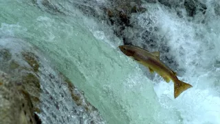 Příroda Kantaberských hor (2/2)