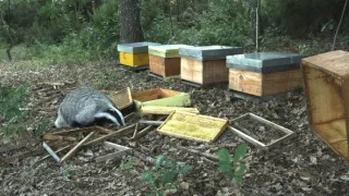 Příroda Kantaberských hor (2/2)