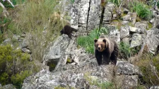 Příroda Kantaberských hor (2/2)