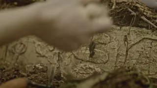 Najväčšie apokalypsy dejín