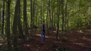 Emoce v umění (17/24)