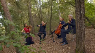 Emoce v umění (17/24)