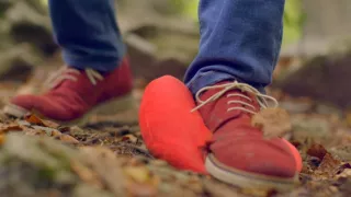 Emoce v umění (17/24)