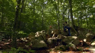 Emoce v umění (17/24)