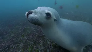 Utajené ostrovy Austrálie (2)