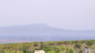 Krajinou vína po Slovensku (4/6)