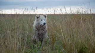Život v zovretí mrazu VIII (11)