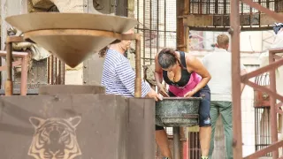 Pevnosť Boyard II (8)