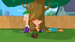 Phineas & Ferb (2/26)
