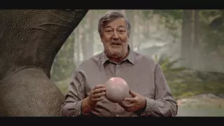 Dinosaury so Stephenom Fryom (2)
