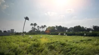 Kronika starovekého Egypta