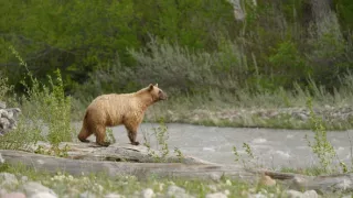 Kanadské národné parky (3)