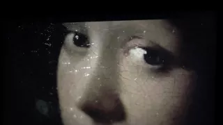 Za závěsem: Vermeerovo tajemství