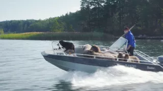 Heydrich - konečné řešení (26/44)