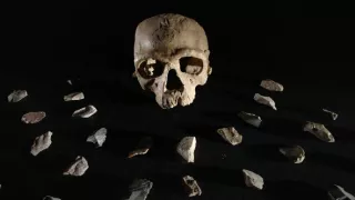 Homo sapiens: Nové počátky (1)