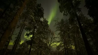 Rozmanitost naší planety