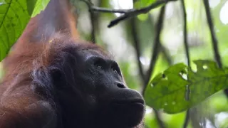 Rozmanitost naší planety