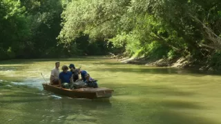 Kráľovstvo divočiny: Podenka dlhochvostá, Maďarsko